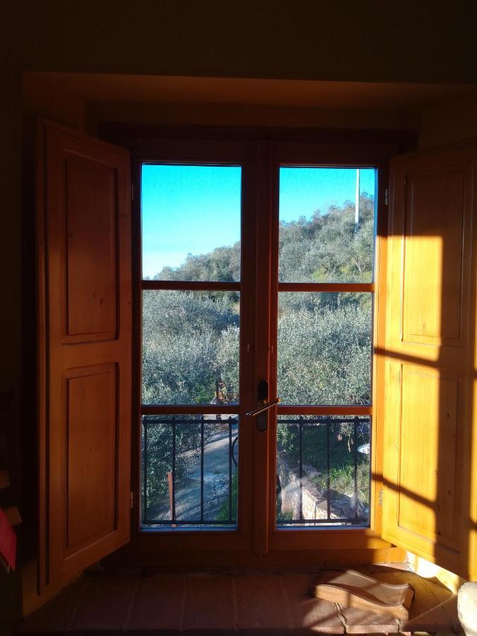 L'Ulivoimperfetto Appartement Buti Buitenkant foto